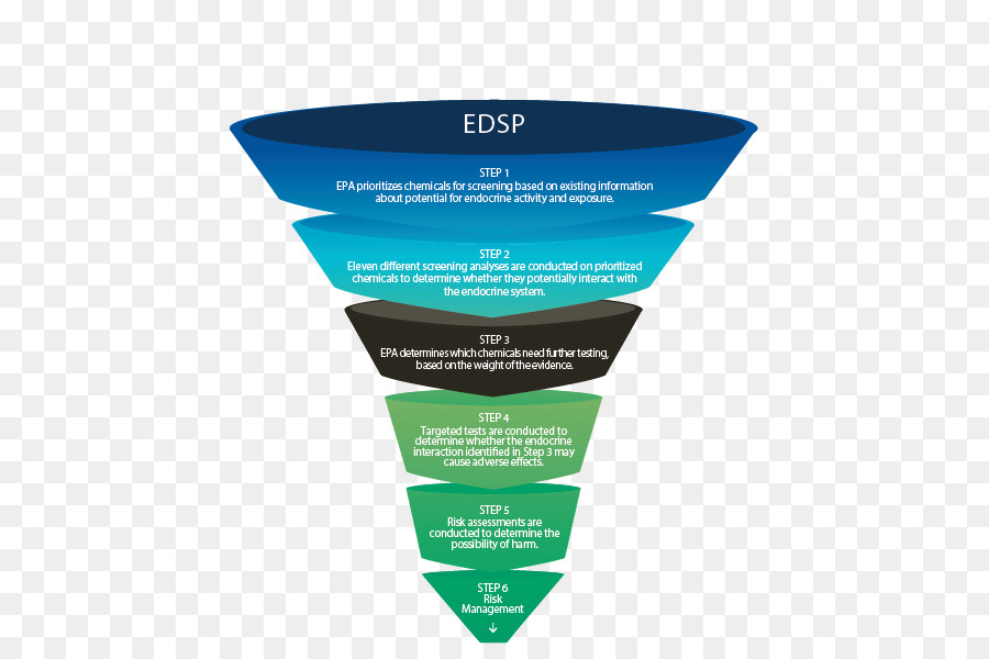 Disruptor Endocrino，Sistema Endocrino PNG