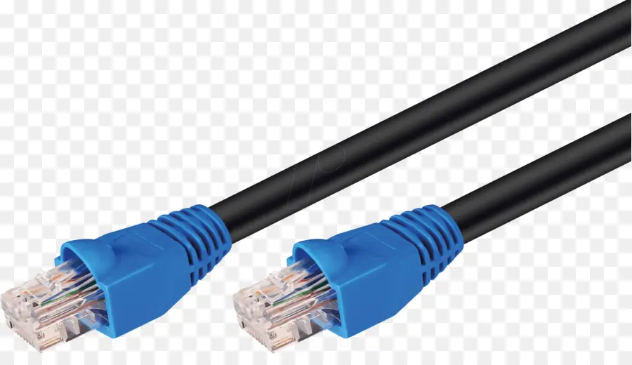 Cable De Parche，Cable De Categoría 6 PNG