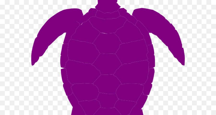 Tortuga，Tortuga De Mar PNG