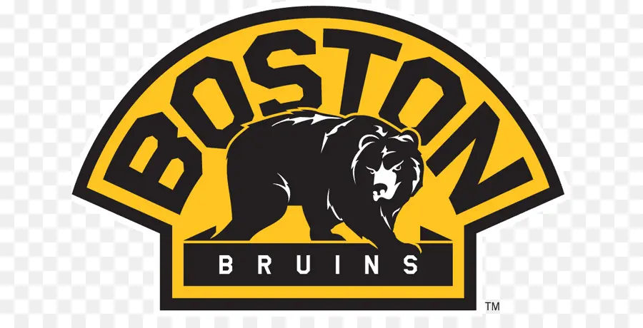 Los Bruins De Boston，Hockey Sobre Hielo PNG