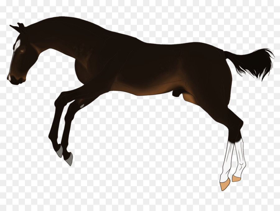 Caballo Negro，Caballo PNG