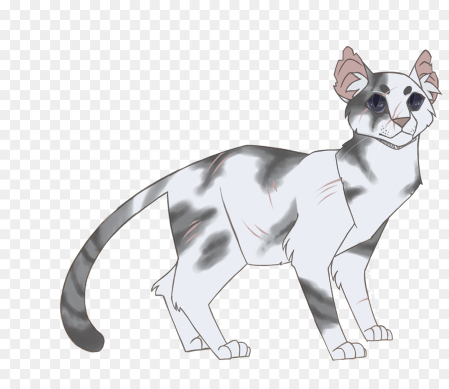 Gato De Dibujos Animados，Hojas PNG