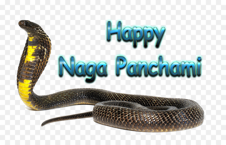 Naga Panch Artista，Panchami PNG