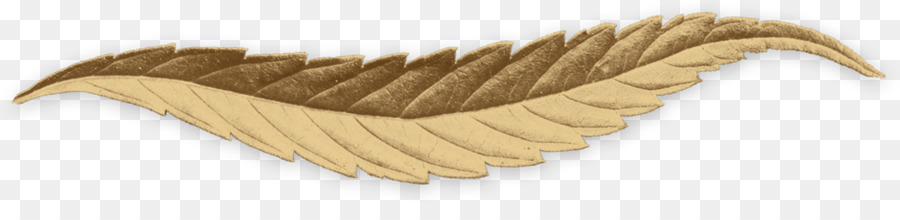 Pluma，Hoja PNG