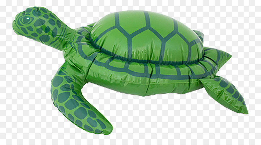 Inflable，Tortuga PNG