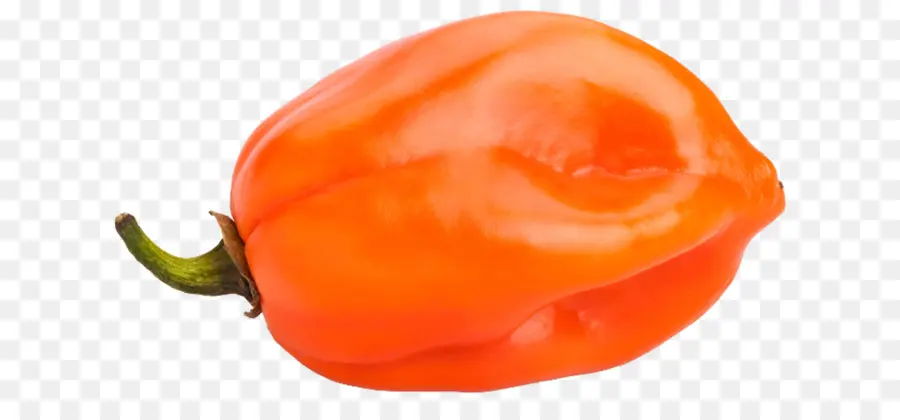 Habanero，Ají Picante PNG