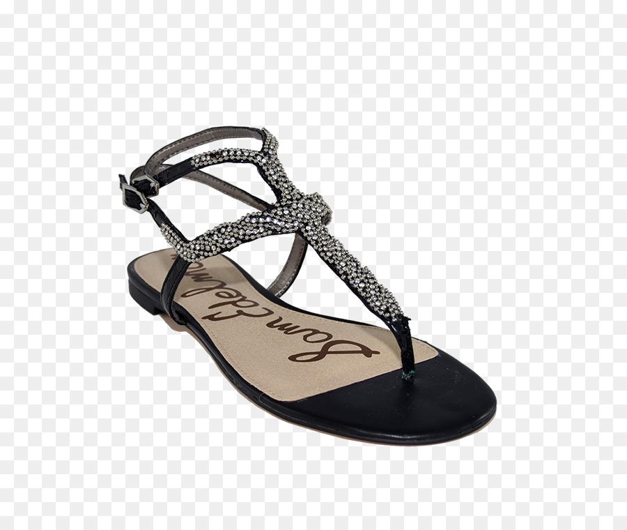 Chancletas，Zapato PNG