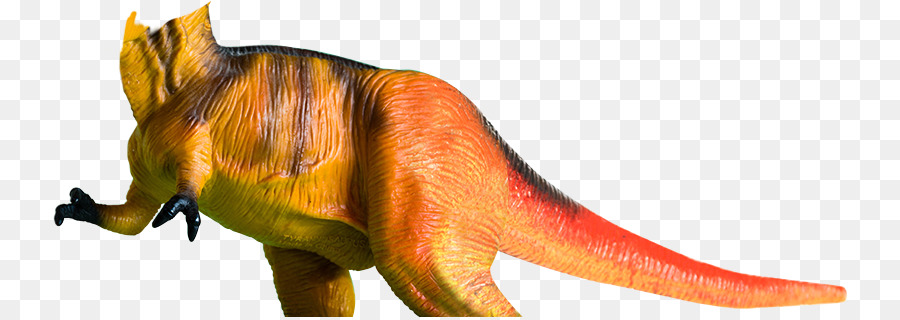 Tiranosaurio，Pregunta PNG