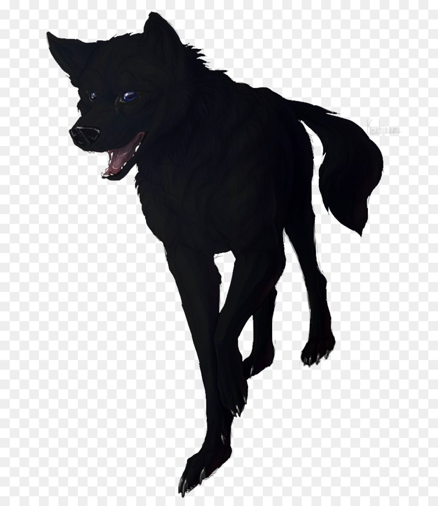 Schipperke，Raza De Perro PNG