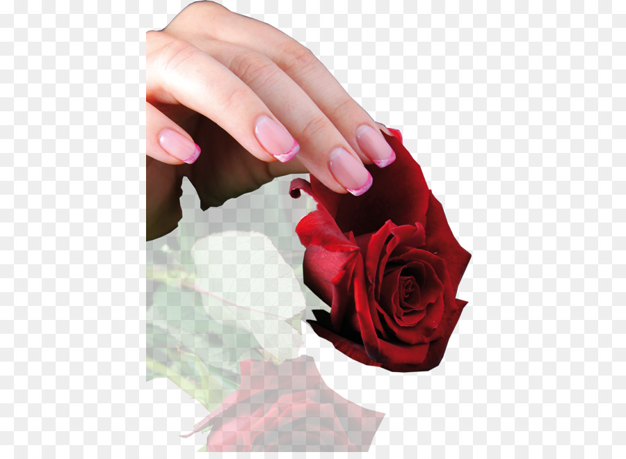 Uñas，Manicura PNG