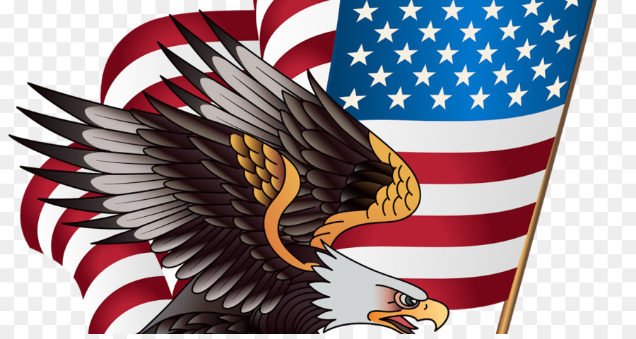 Estados Unidos De América，Águila Calva PNG