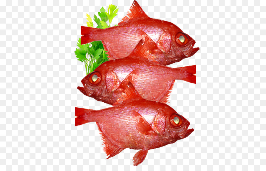 El Norte De Pargo Rojo，Los Productos De Pescado PNG