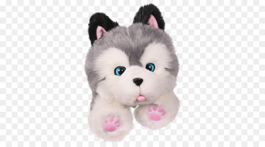 Cachorro，Husky Siberiano PNG