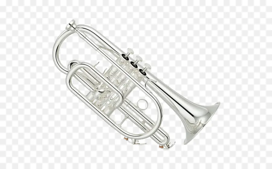 Cornet，Instrumento De Viento PNG