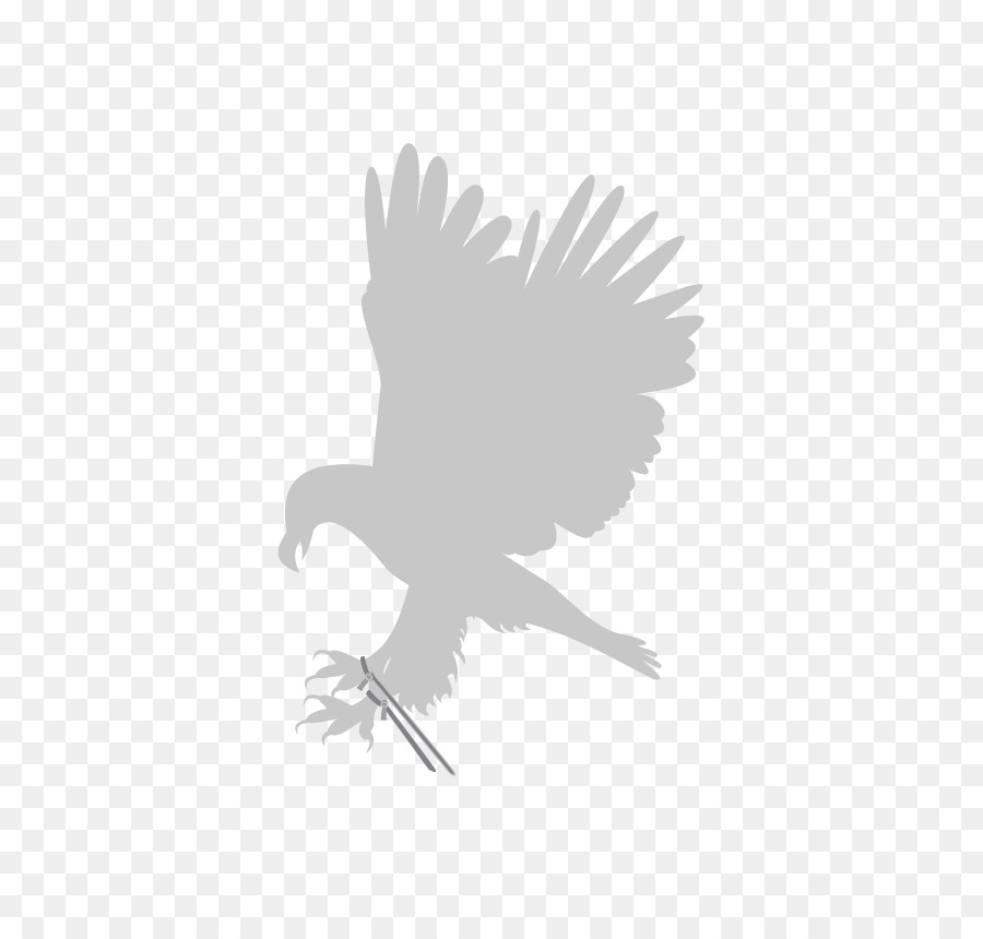 La Fierecilla Domada，águila PNG