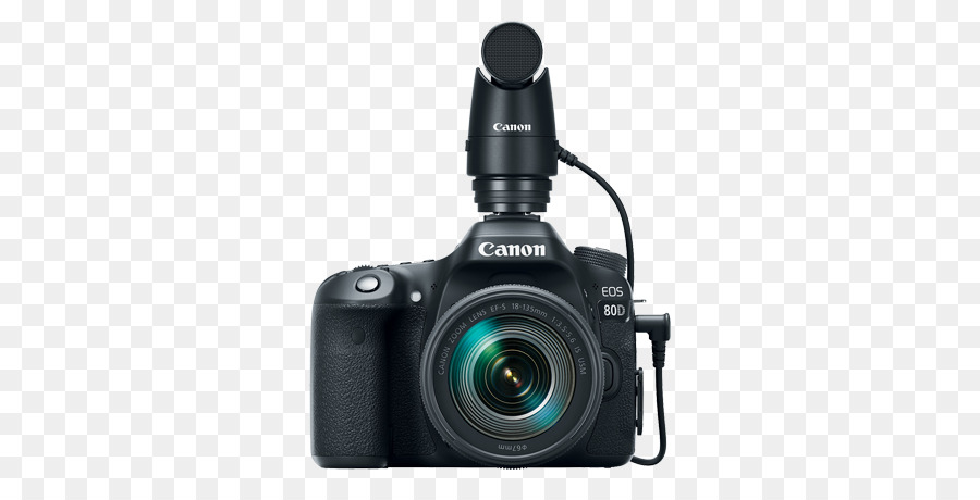 Canon Eos 80d，Micrófono PNG