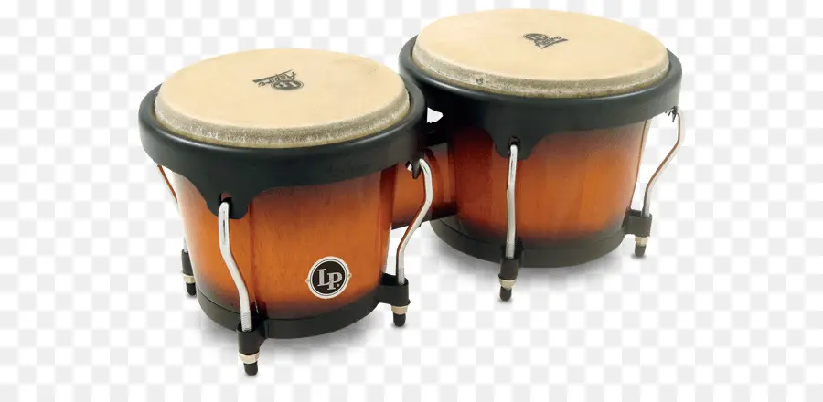 Percusión Latina Bongos，Percusión Latina PNG