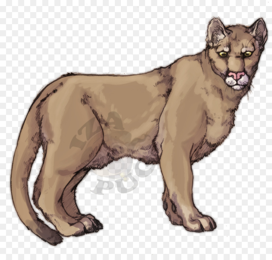 León，Felino De Gran Tamaño PNG