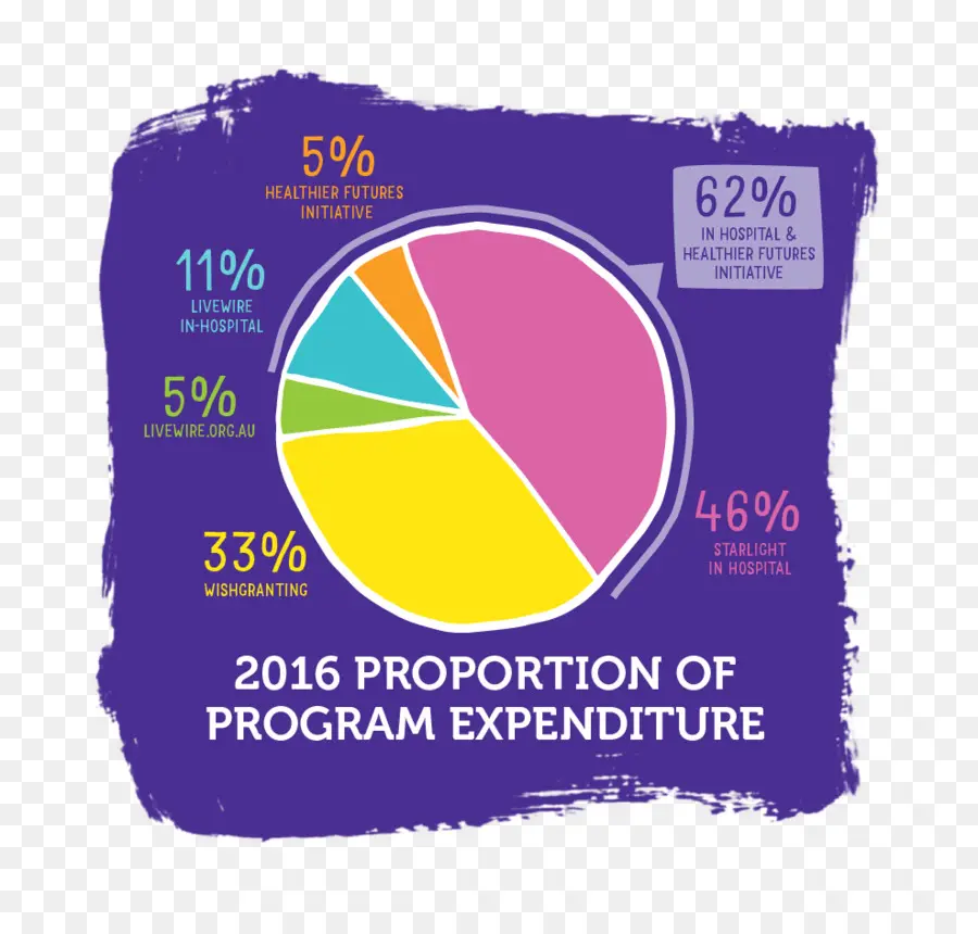 Gráfico Circular De Gastos Del Programa，Gráfico PNG