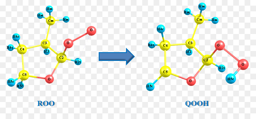 Estructura Química，Molécula PNG