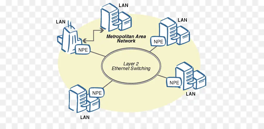 Red De área Metropolitana，Diagrama De Red De Computadoras PNG