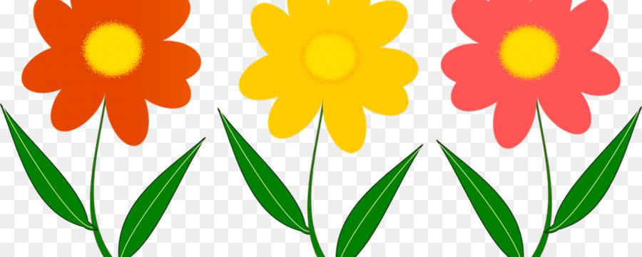 Flores Coloridas，Flores PNG