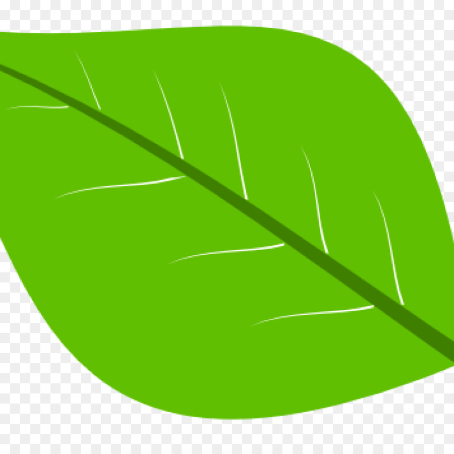 Hoja Azul，Naturaleza PNG