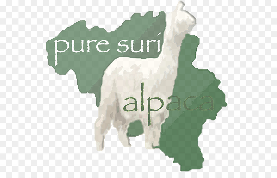 Bélgica，Alpaca PNG