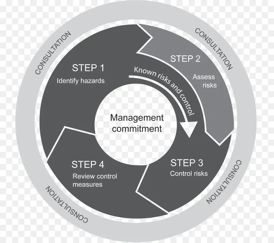 Ciclo De Gestión De Riesgos，Pasos PNG