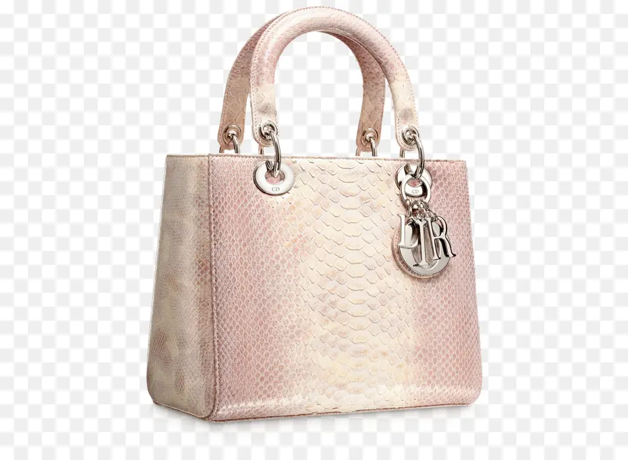 La Bolsa De Asas，Chanel PNG