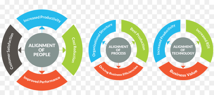 Organización，Infografía PNG