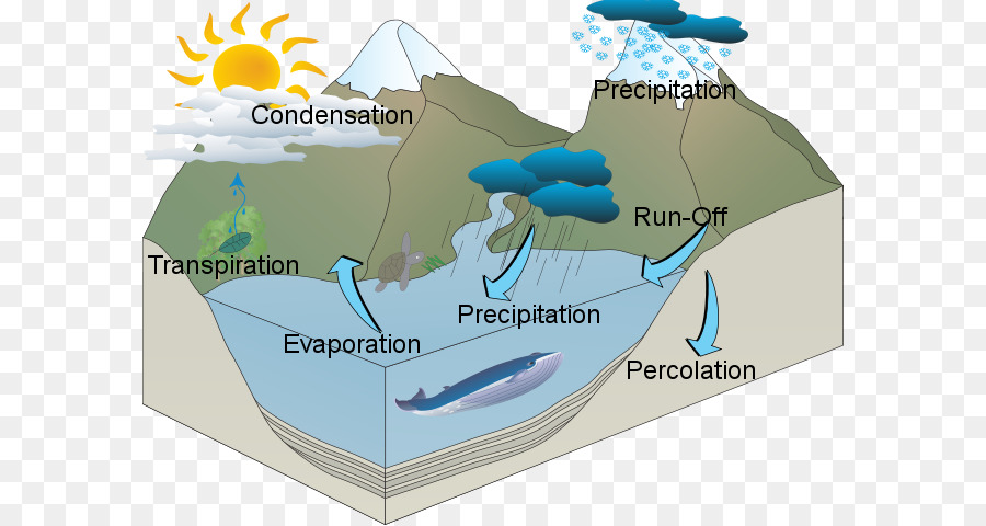 El Ciclo Del Agua，Recursos Hídricos PNG