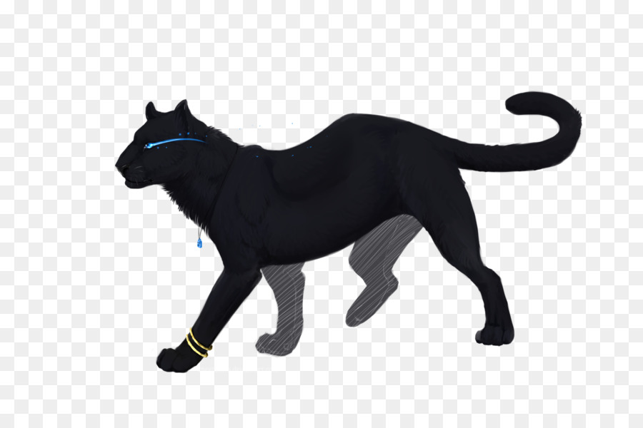 Gato，Ilustrador PNG