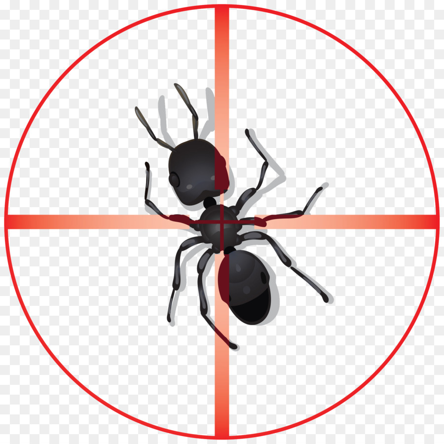 Insecto，Control De Plagas PNG