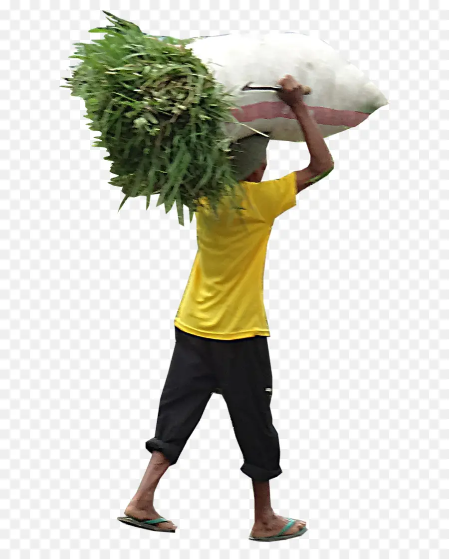 Hombre Llevando Carga，Trabajar PNG