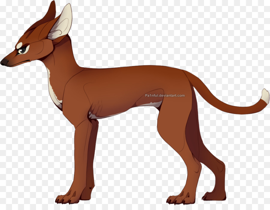 El Faraón Hound，Raza De Perro PNG