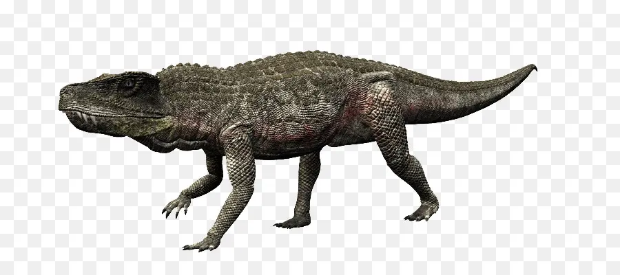 Dinosaurio，Arcosaurio PNG