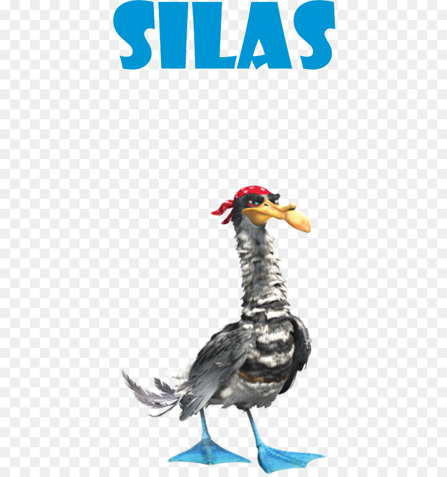 Silas El Pájaro，Pájaro PNG