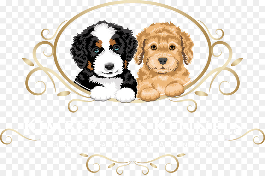 Rey Cavalier Charles Spaniel，Cachorro PNG