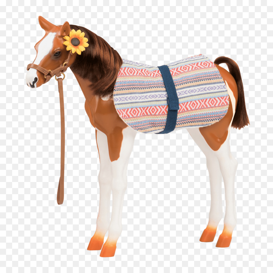 Pony，Paso Fino PNG