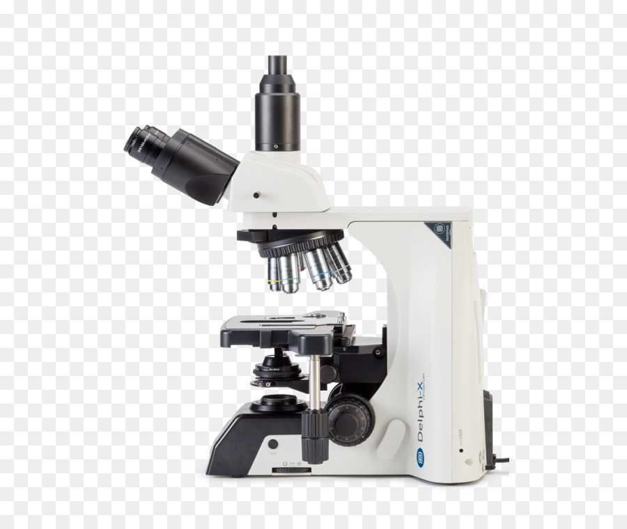 Microscopio，Ciencia PNG