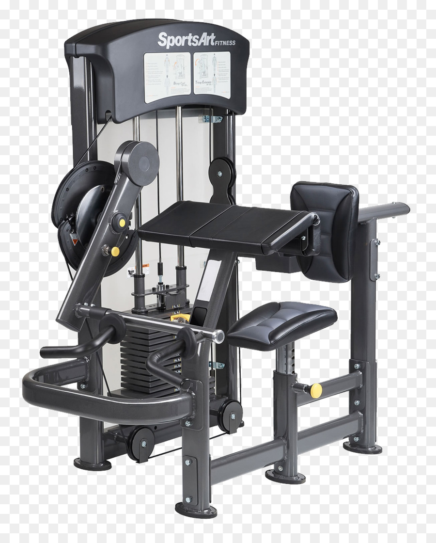 Gimnasio，Levantamiento De Pesas De La Máquina PNG