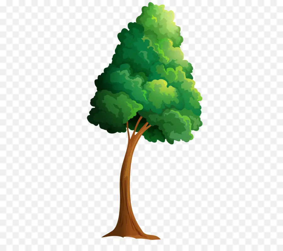 Árbol，Fondo De Escritorio PNG