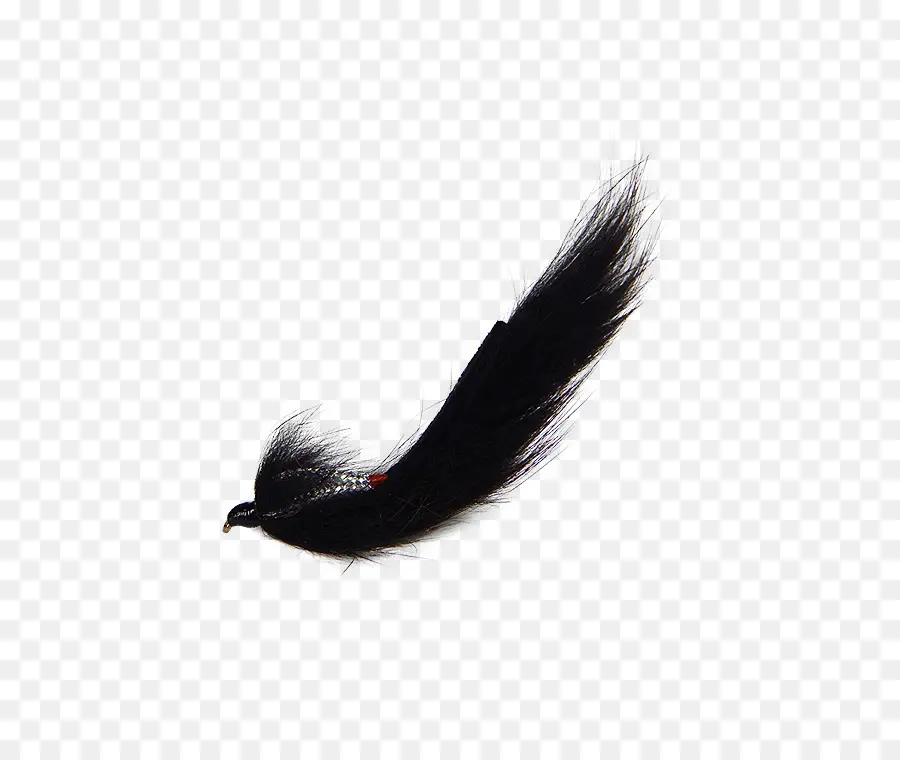 Holly Flies，Volar PNG