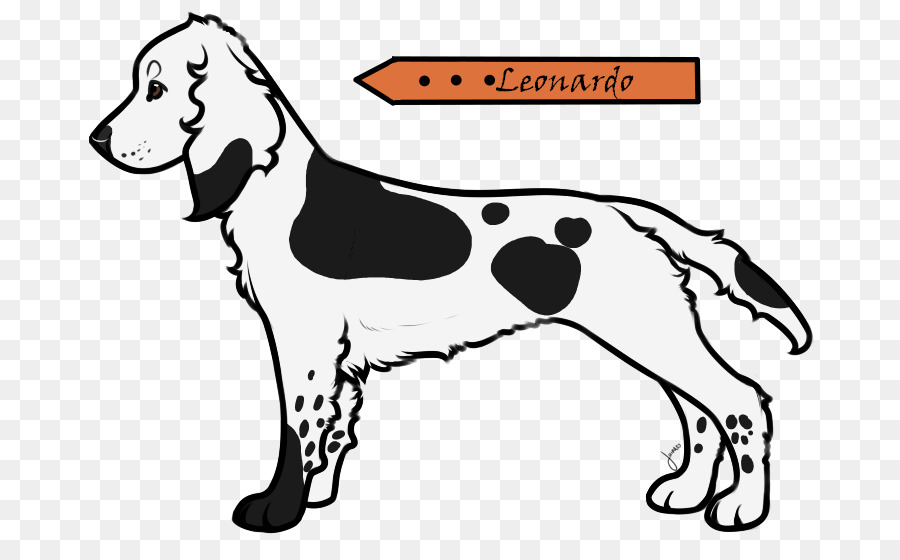 Raza De Perro，Cachorro PNG