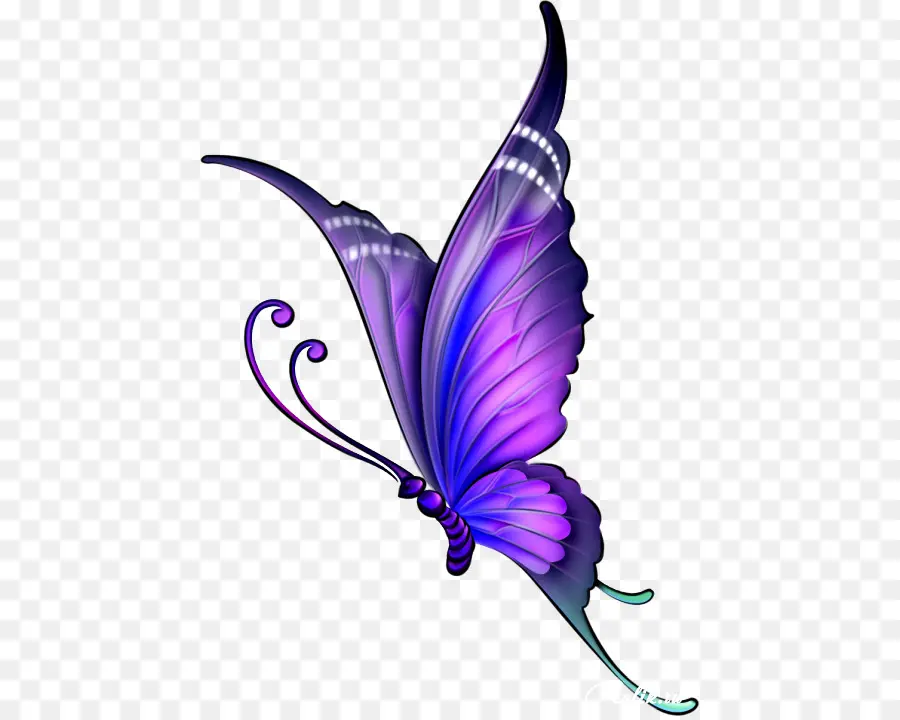 Mariposa，Dibujo PNG