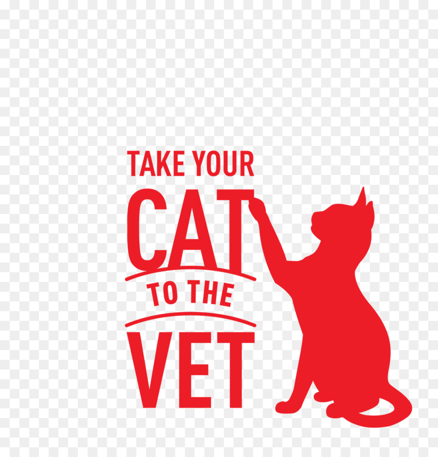 Gato，Veterinario PNG