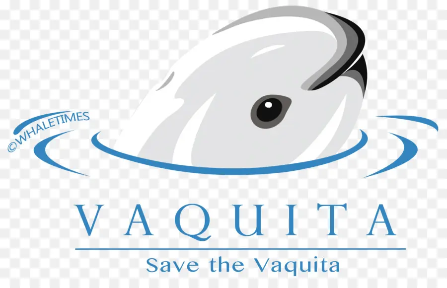 Vaquita，Marsopa PNG