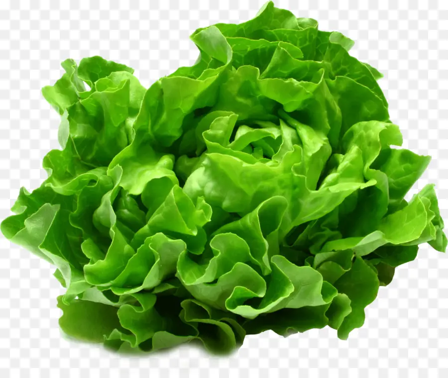 Lechuga，Alimento PNG