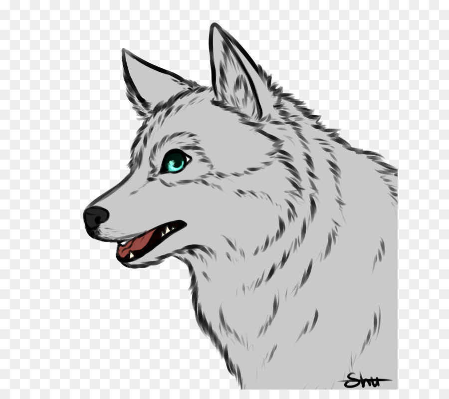 Lobo，Gris PNG